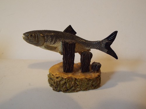 The anglers showcase - the,