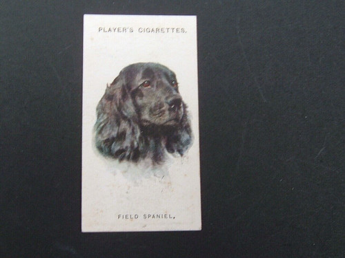 John player dogs - ,