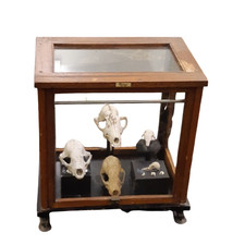 Antique wood museum display - museum,