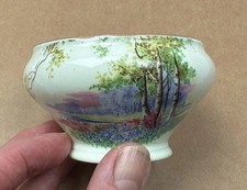 Ainsley China Open Sugar Bowl