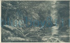 Bettws Y Coed Fairy Glen Judges 7498 