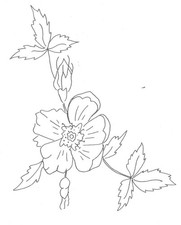Embroidery Transfer Iron On