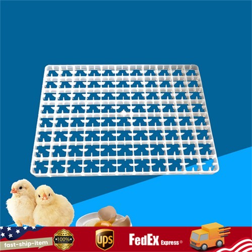 Egg hatching incubator trays - 5*egg,
