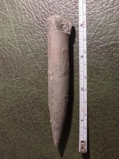 Large Fossil Belemnite