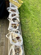 Assorted Nuts and Bolts Washers Fittings 