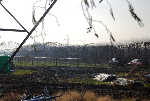 Photo 6x4 polytunnels near - 6x4,
