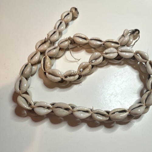Vintage cowrie shell - vintage, hand