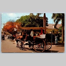 Postcard Nassau Bahamas Horse