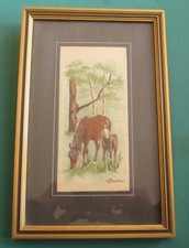 J&J Cash Woven New Forest