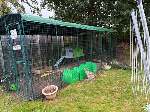 Omlet walk run plus extras - omlet,