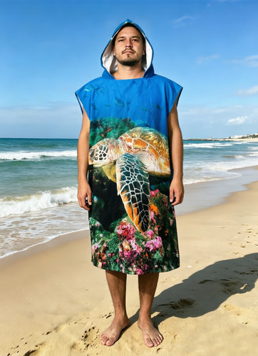 Sea turtle whale hooded beach - whale,
