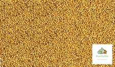 PANICUM MILLET 20kg Bird Seed Food Finch Waxbill Budgie Canary Aviary