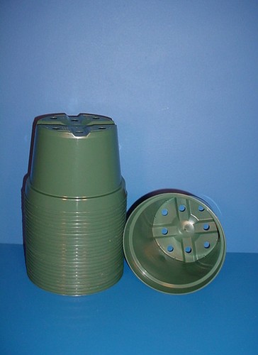 New inch standard - 50,