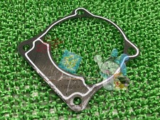 Genuine Yamaha RZV500R