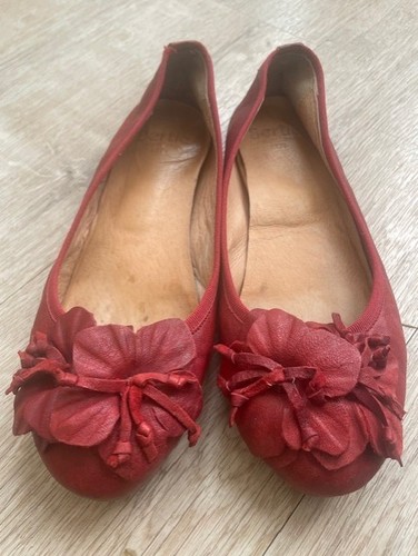 Bertie floral ballerina shoes - floral,