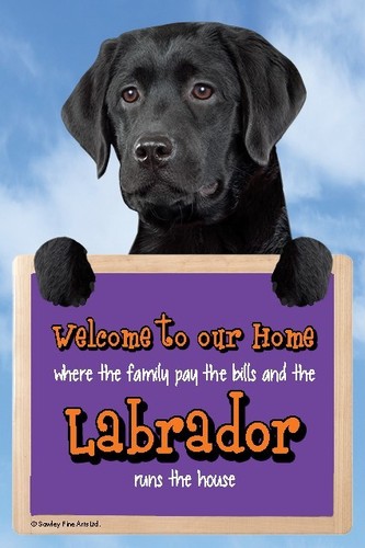 Black labrador welcome - 3d, sign