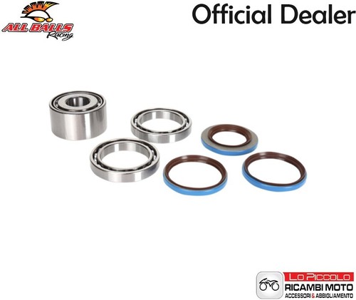 Rear differential bearings - differential,