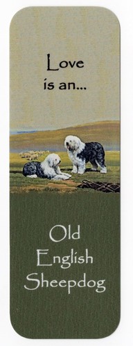 Old english sheepdog dog - sheepdog,