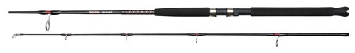 Bigwater boat fishing rod - boat,