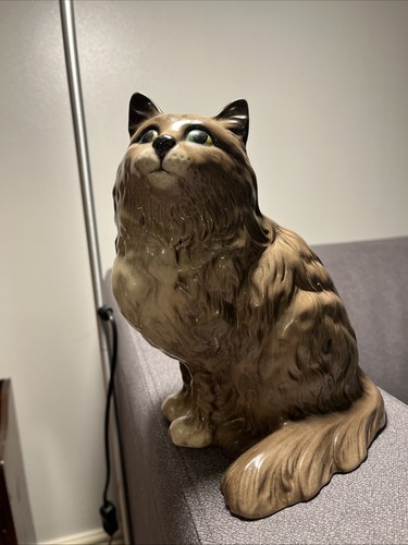 Large persian cat - large,