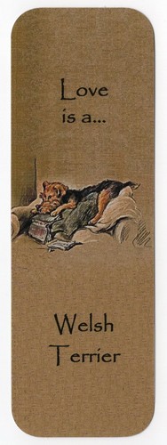 Welsh terrier dog bookmark - welsh,