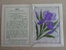 Kensitas wix tobacco silk - kensitas,