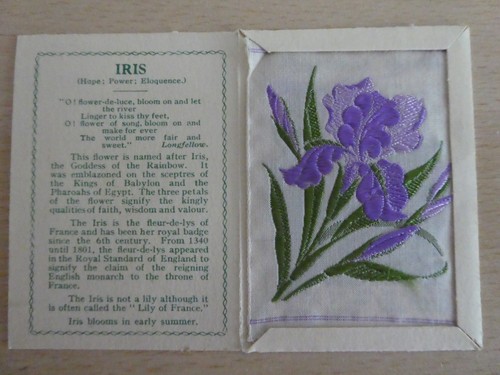 Kensitas wix tobacco silk - wix,
