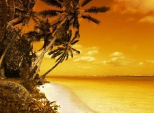 Photo Wall Mural-PALM BEACH