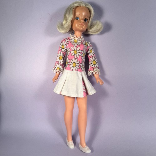 Blonde trendy girl pedigree - girl,