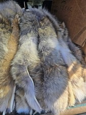 Canada Goose Coyote Replacement Fur23"for  NEW AND OLD Jacket  Coyote Fur Trim