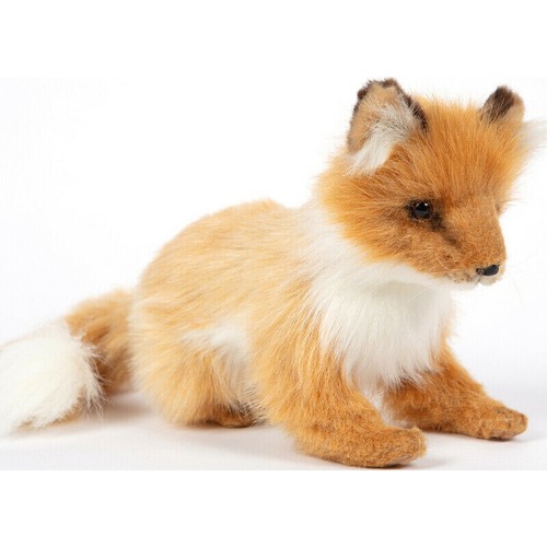 Hansa sitting fox cub - hansa,
