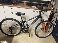 Apollo Interzone Junior