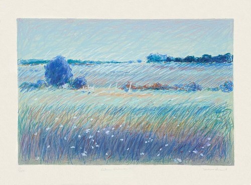 1986 roy fairchild woodard - 1986,