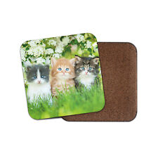 Gorgeous Kittens Coaster - Cute Garden Flowers Mum Auntie Pretty Cats Gift #8663