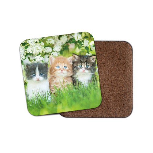 Gorgeous kittens coaster - gorgeous,