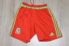 Wales National Football Shorts