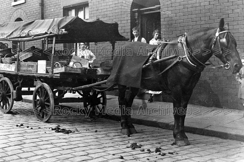 Lfd horse and cart - and, cart,