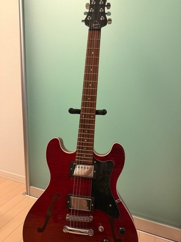 Framus electric guitar semi - guitar,