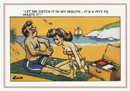 British saucy seaside - british,