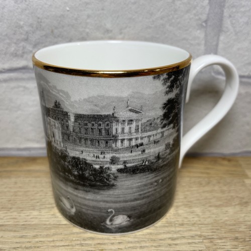 Buckingham palace mug fine - palace,
