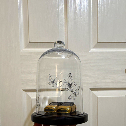 Glass dome bell jar cloche - jar,
