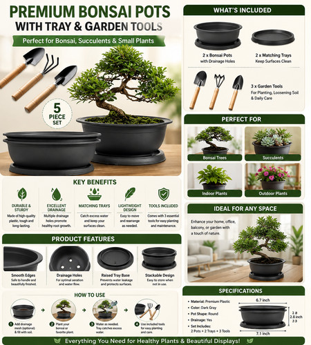 Pack oval bonsai - 3, with