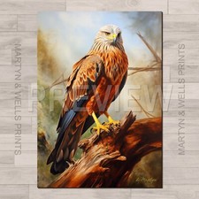 Red Kite art print. by L