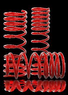 Vmaxx lowering springs fit - springs,