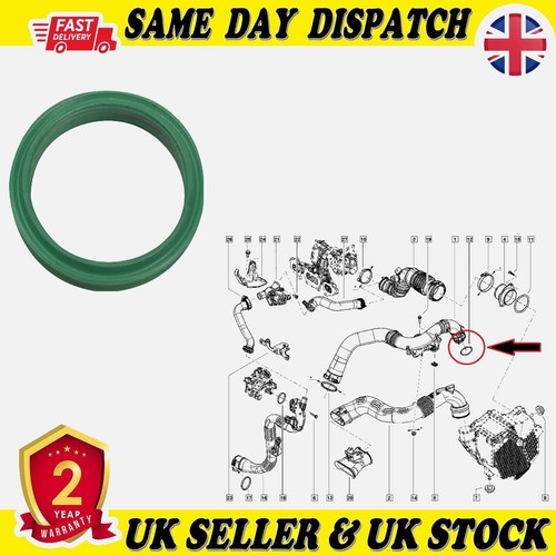 Gasket turbo hose - gasket, pipe