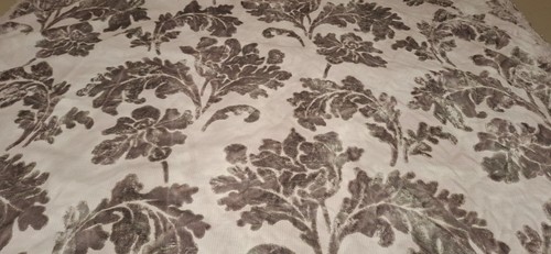 Cut velvet floral demask - floral,