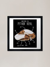 Anatomie python royal - du,