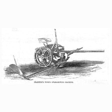 Cranston's Wood's Grass Mowing