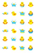 24 edible Duck pre-cut Iced