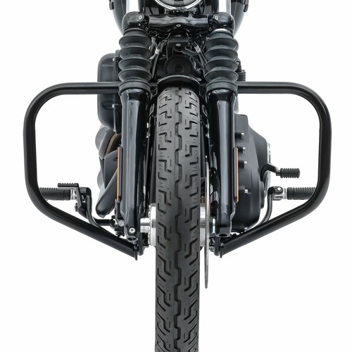 Engine guard for harley - guard,